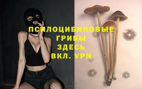 2c-b Киренск