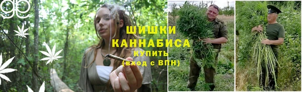 стаф Кинешма