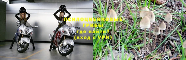 стаф Кинешма
