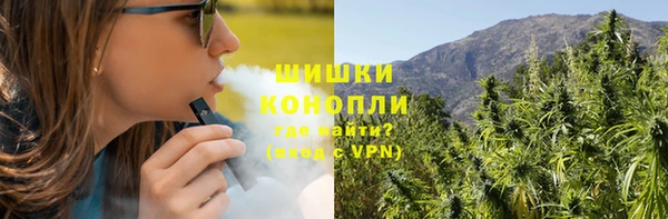 стаф Кинешма