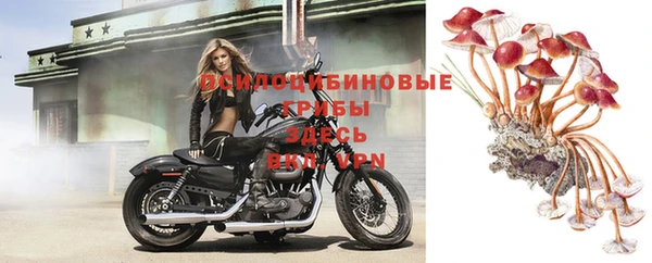 2c-b Киренск