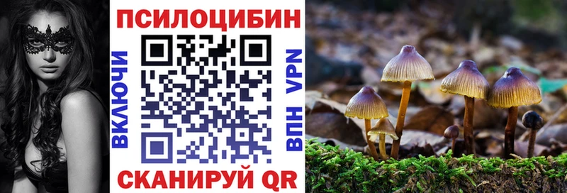 цены наркотик  Арзамас  Галлюциногенные грибы Cubensis 