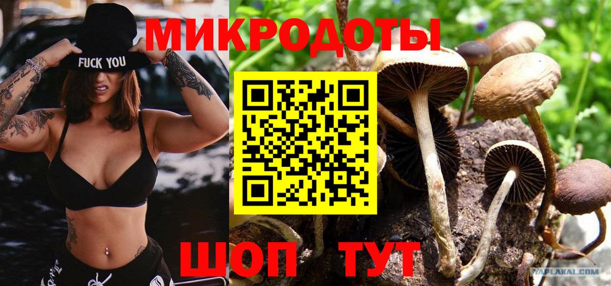 Псилоцибиновые грибы Psilocybe Арзамас